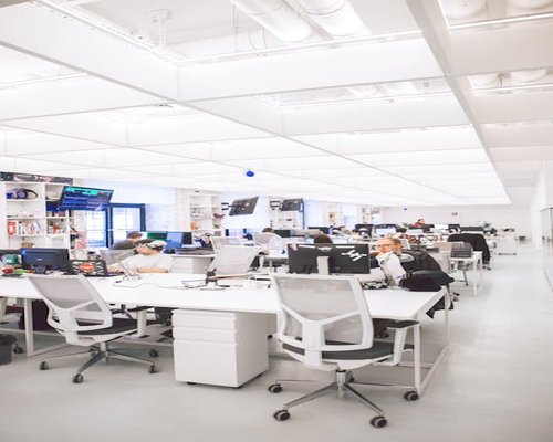 Bright and serene indoor office layout for editorial and creative workers